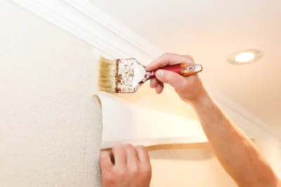 Pose de papier peint à Momy — revêtements muraux et toiles de verre